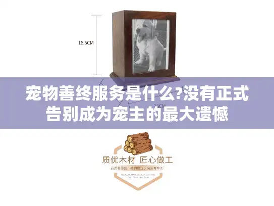 宠物善终服务是什么?没有正式告别成为宠主的最大遗憾