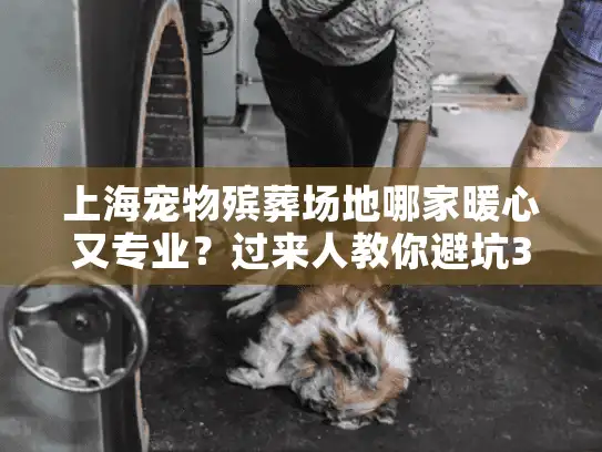 上海宠物殡葬场地哪家暖心又专业？过来人教你避坑3大关键点