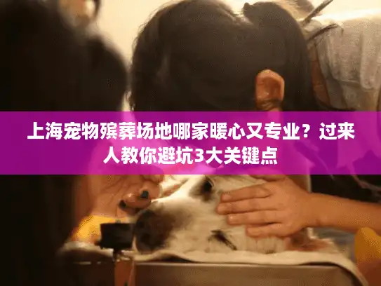 上海宠物殡葬场地哪家暖心又专业？过来人教你避坑3大关键点