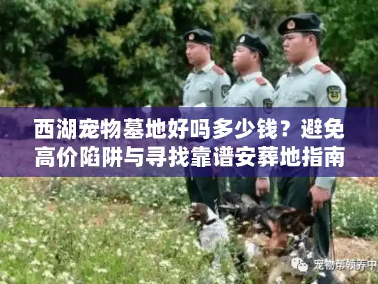 西湖宠物墓地好吗多少钱？避免高价陷阱与寻找靠谱安葬地指南