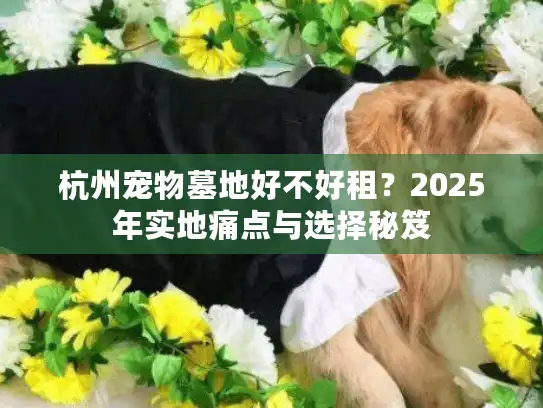 杭州宠物墓地好不好租？2025年实地痛点与选择秘笈