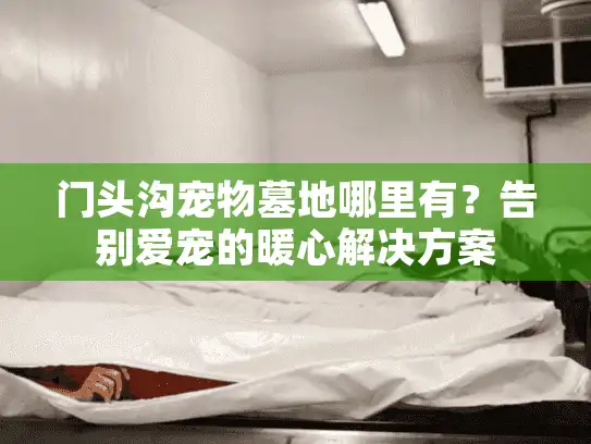 门头沟宠物墓地哪里有？告别爱宠的暖心解决方案