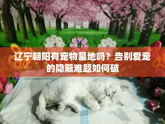 辽宁朝阳有宠物墓地吗？告别爱宠的隐蔽难题如何破