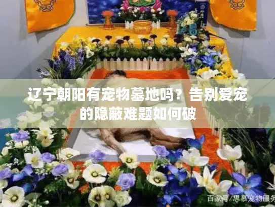 辽宁朝阳有宠物墓地吗？告别爱宠的隐蔽难题如何破