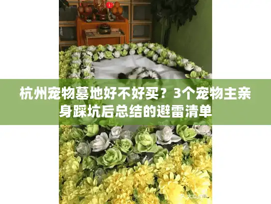 杭州宠物墓地好不好买？3个宠物主亲身踩坑后总结的避雷清单