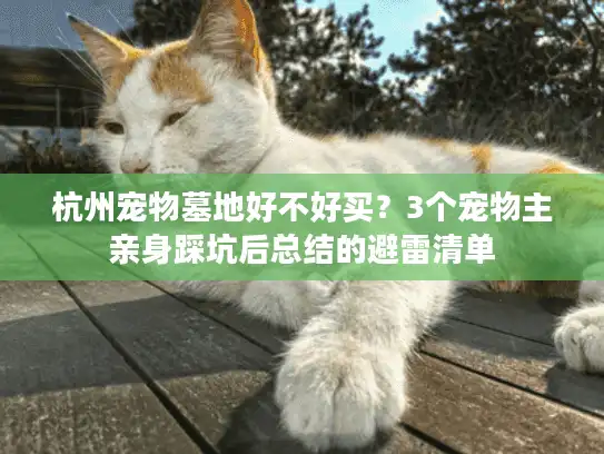 杭州宠物墓地好不好买？3个宠物主亲身踩坑后总结的避雷清单