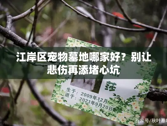 江岸区宠物墓地哪家好？别让悲伤再添堵心坑