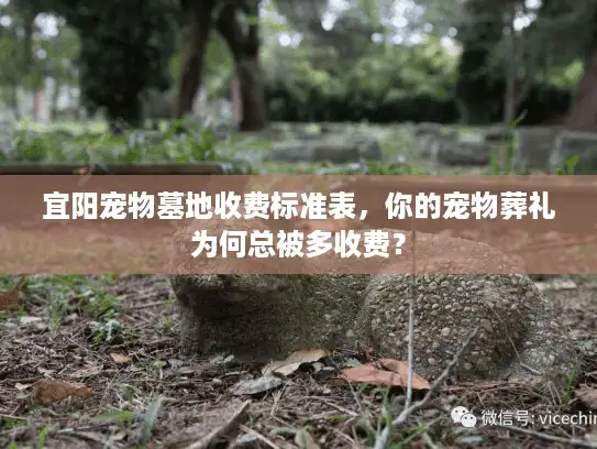 宜阳宠物墓地收费标准表，你的宠物葬礼为何总被多收费？