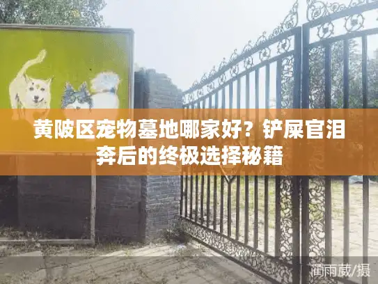 黄陂区宠物墓地哪家好？铲屎官泪奔后的终极选择秘籍