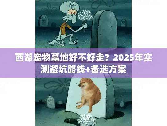 西湖宠物墓地好不好走？2025年实测避坑路线+备选方案
