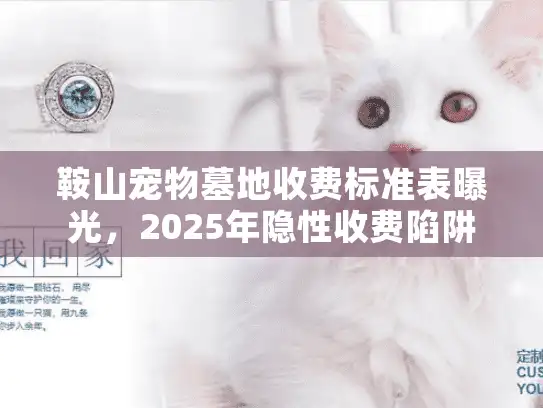 鞍山宠物墓地收费标准表曝光，2025年隐性收费陷阱全破解
