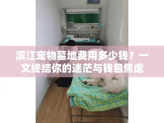 滨江宠物墓地费用多少钱？一文终结你的迷茫与钱包焦虑