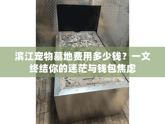 滨江宠物墓地费用多少钱？一文终结你的迷茫与钱包焦虑