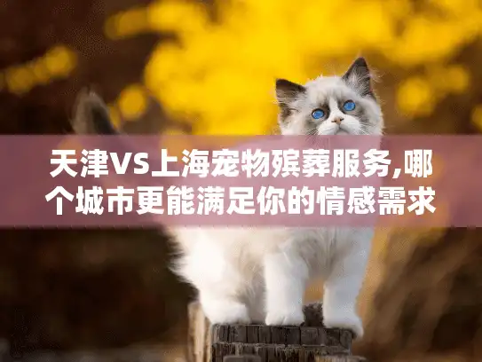 天津VS上海宠物殡葬服务,哪个城市更能满足你的情感需求?