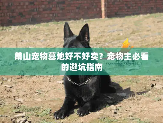 萧山宠物墓地好不好卖？宠物主必看的避坑指南