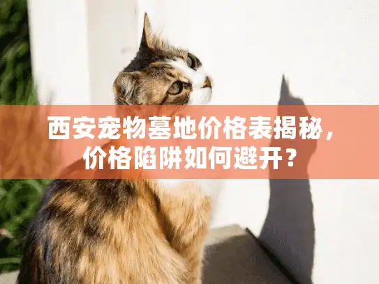 西安宠物墓地价格表揭秘，价格陷阱如何避开？