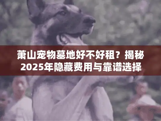 萧山宠物墓地好不好租？揭秘2025年隐藏费用与靠谱选择