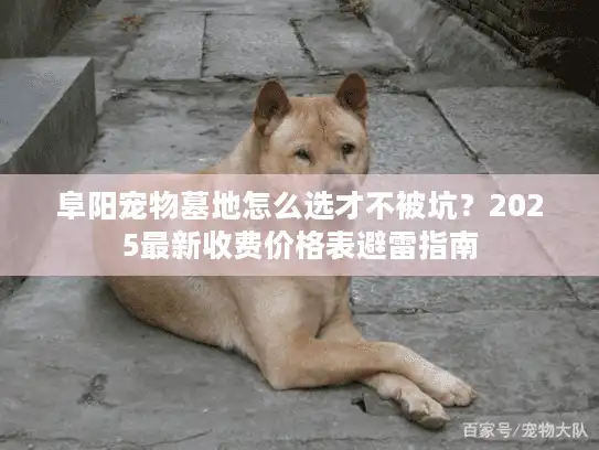 阜阳宠物墓地怎么选才不被坑？2025最新收费价格表避雷指南