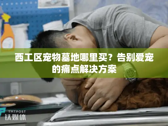 西工区宠物墓地哪里买？告别爱宠的痛点解决方案