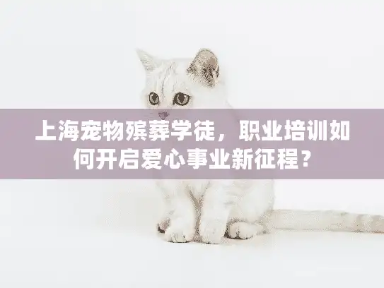 上海宠物殡葬学徒，职业培训如何开启爱心事业新征程？