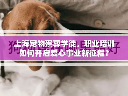 上海宠物殡葬学徒，职业培训如何开启爱心事业新征程？