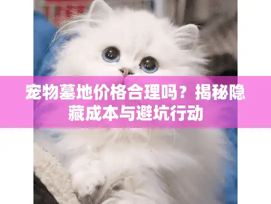 宠物墓地价格合理吗？揭秘隐藏成本与避坑行动