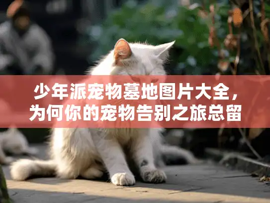 少年派宠物墓地图片大全，为何你的宠物告别之旅总留遗憾？