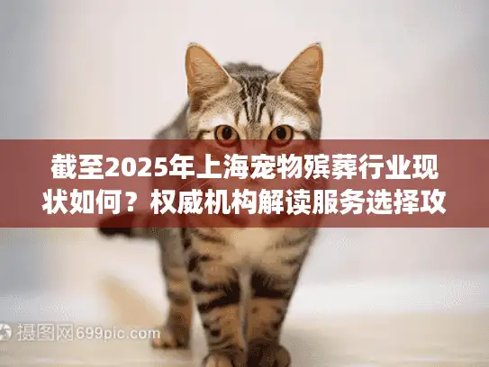 截至2025年上海宠物殡葬行业现状如何？权威机构解读服务选择攻略