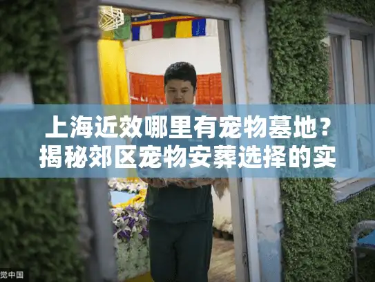 上海近效哪里有宠物墓地？揭秘郊区宠物安葬选择的实用攻略