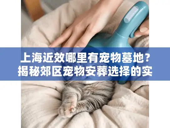上海近效哪里有宠物墓地？揭秘郊区宠物安葬选择的实用攻略