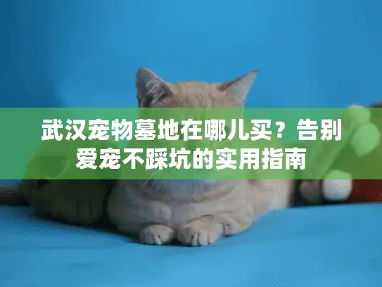 武汉宠物墓地在哪儿买？告别爱宠不踩坑的实用指南