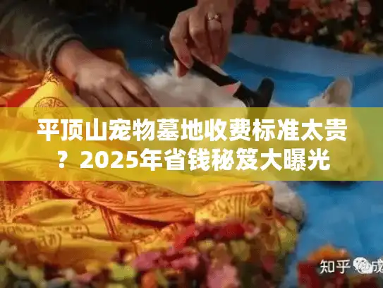 平顶山宠物墓地收费标准太贵？2025年省钱秘笈大曝光