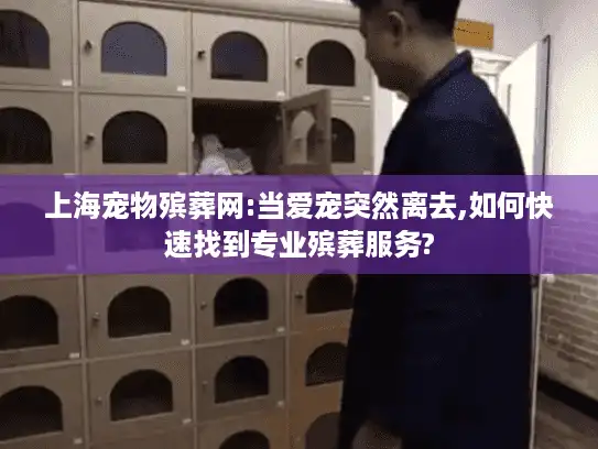 上海宠物殡葬网:当爱宠突然离去,如何快速找到专业殡葬服务?