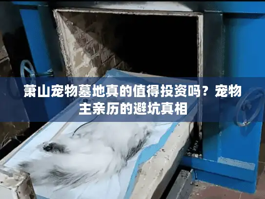 萧山宠物墓地真的值得投资吗？宠物主亲历的避坑真相