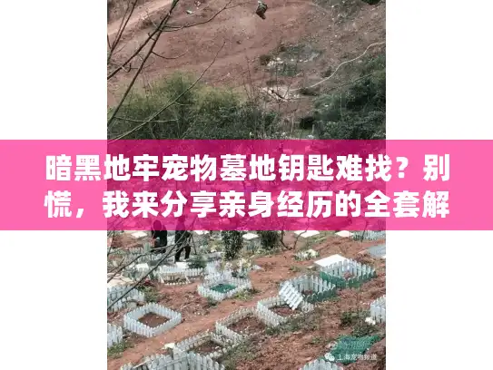 暗黑地牢宠物墓地钥匙难找？别慌，我来分享亲身经历的全套解法！