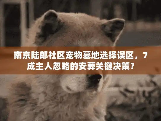 南京陆郎社区宠物墓地选择误区，7成主人忽略的安葬关键决策？