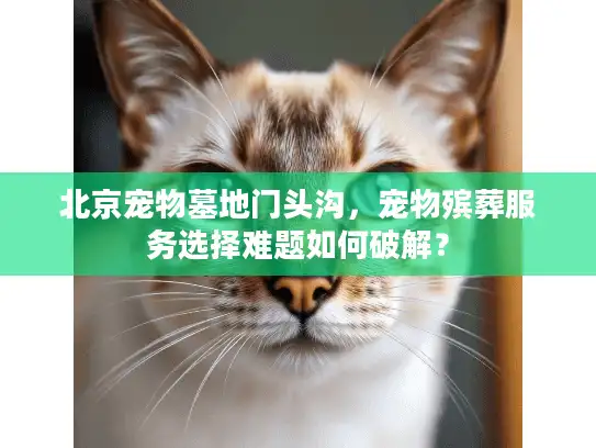 北京宠物墓地门头沟，宠物殡葬服务选择难题如何破解？