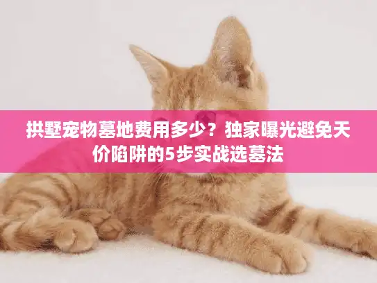 拱墅宠物墓地费用多少？独家曝光避免天价陷阱的5步实战选墓法