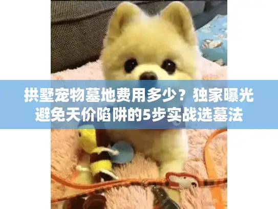 拱墅宠物墓地费用多少？独家曝光避免天价陷阱的5步实战选墓法