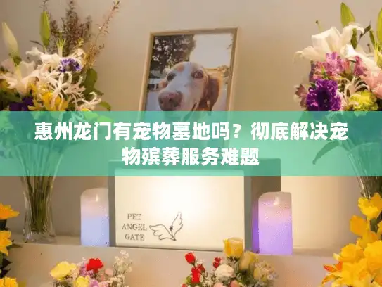 惠州龙门有宠物墓地吗？彻底解决宠物殡葬服务难题