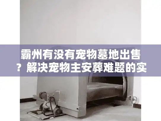 霸州有没有宠物墓地出售？解决宠物主安葬难题的实战指南