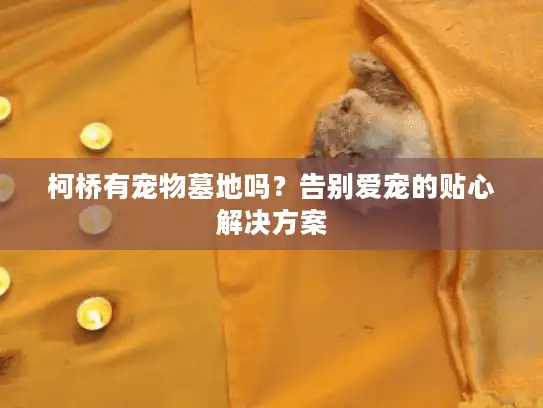 柯桥有宠物墓地吗？告别爱宠的贴心解决方案