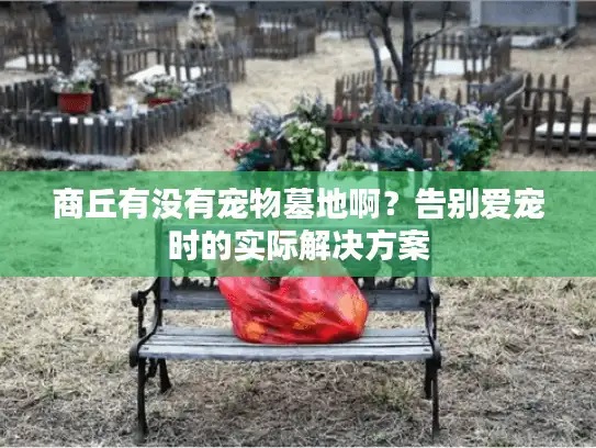 商丘有没有宠物墓地啊？告别爱宠时的实际解决方案