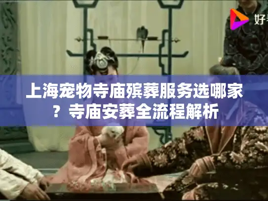 上海宠物寺庙殡葬服务选哪家？寺庙安葬全流程解析