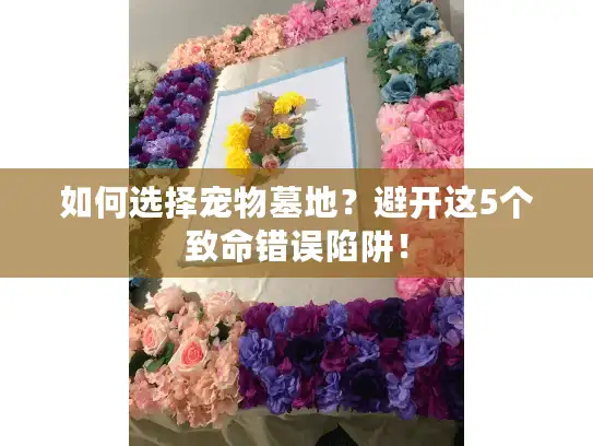 如何选择宠物墓地？避开这5个致命错误陷阱！