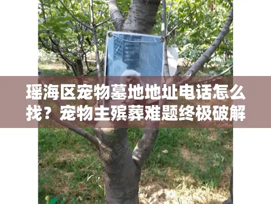 瑶海区宠物墓地地址电话怎么找？宠物主殡葬难题终极破解