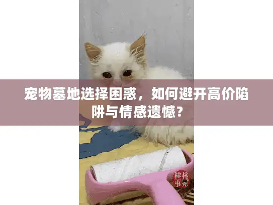 宠物墓地选择困惑，如何避开高价陷阱与情感遗憾？