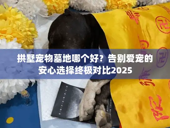 拱墅宠物墓地哪个好？告别爱宠的安心选择终极对比2025
