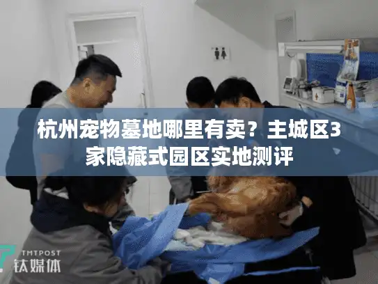 杭州宠物墓地哪里有卖？主城区3家隐藏式园区实地测评