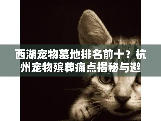 西湖宠物墓地排名前十？杭州宠物殡葬痛点揭秘与避坑攻略